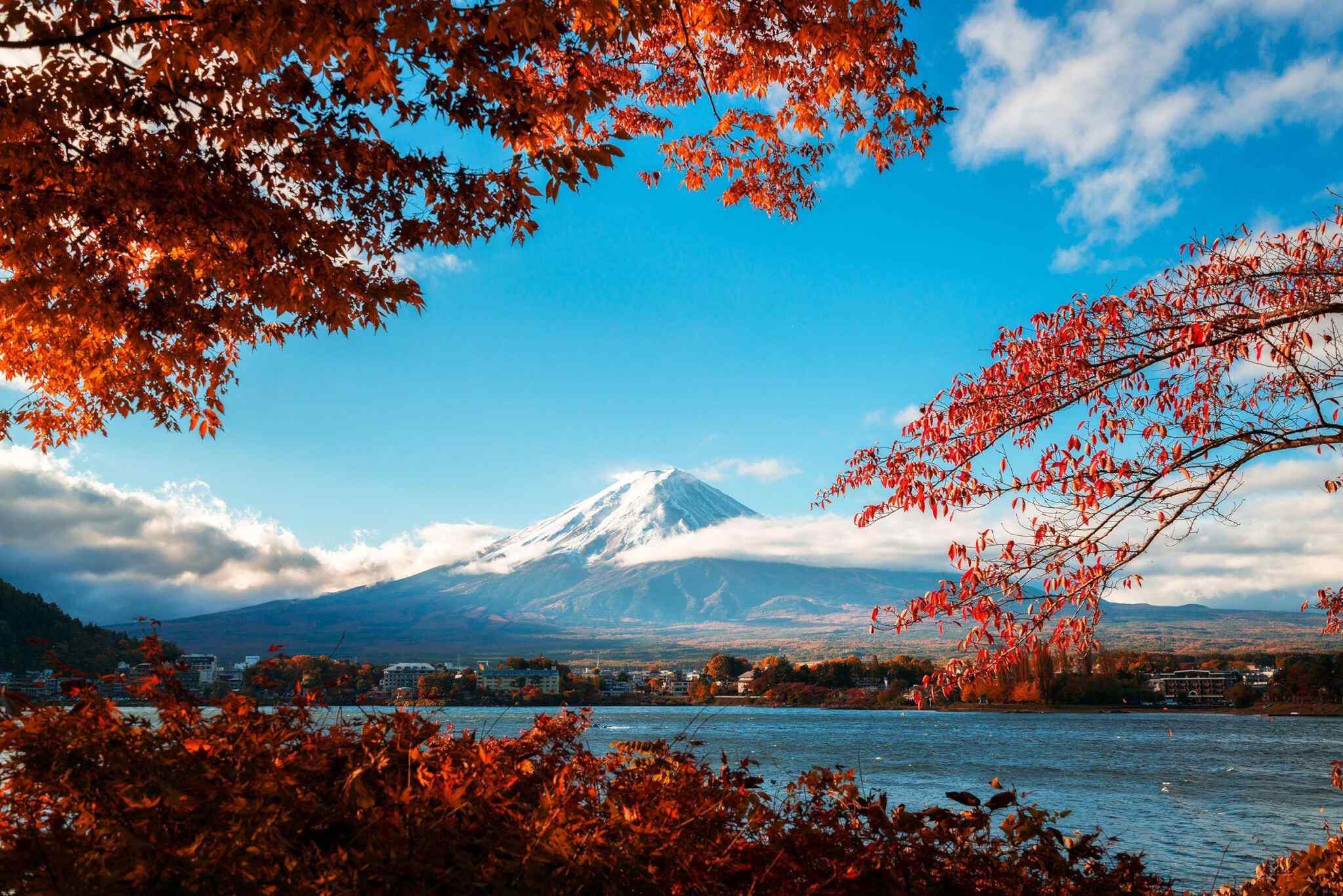 https://theme.codigosimpleweb.com/wp-content/uploads/2018/09/tour-fuji-04.jpg